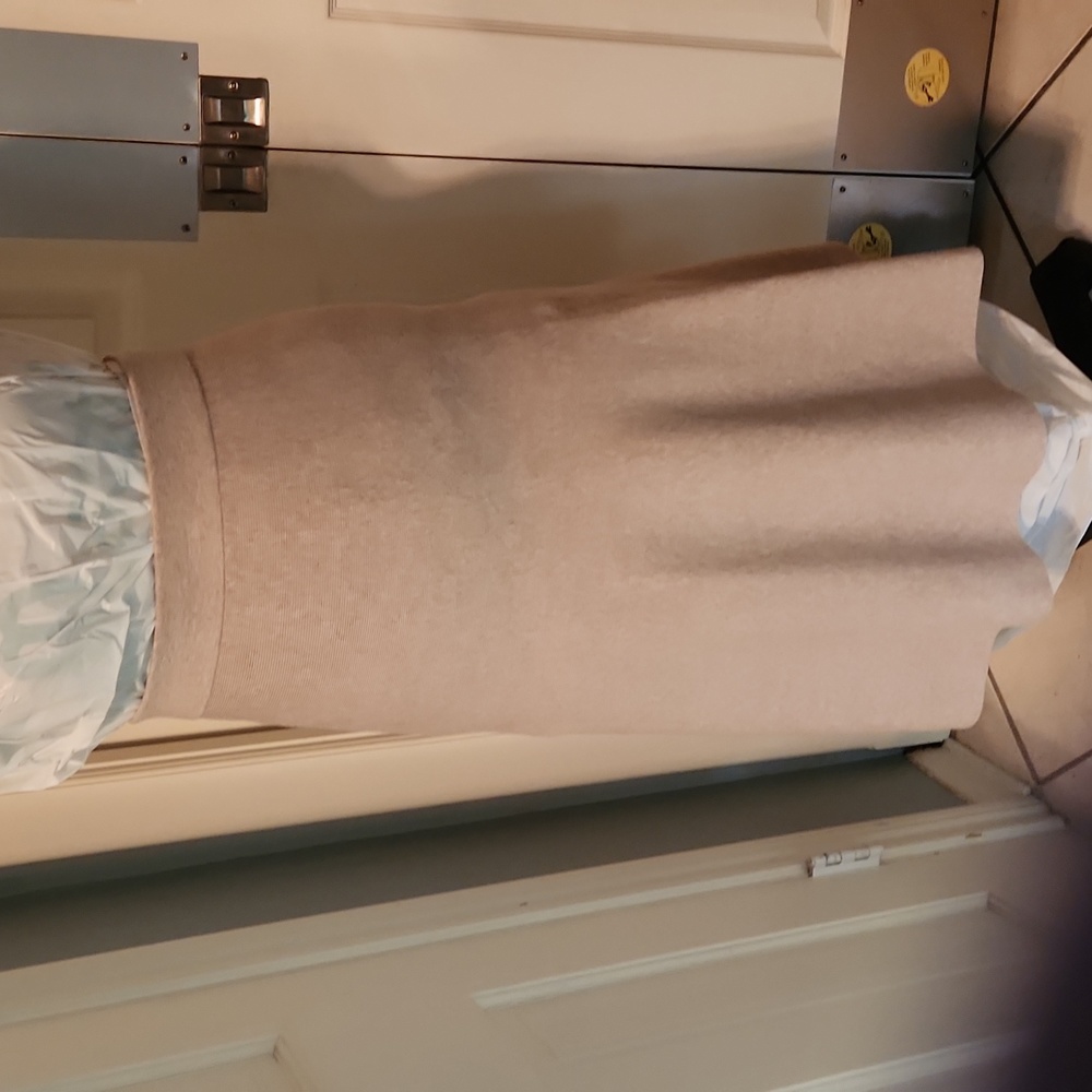 Tan skirt AnnTaylor